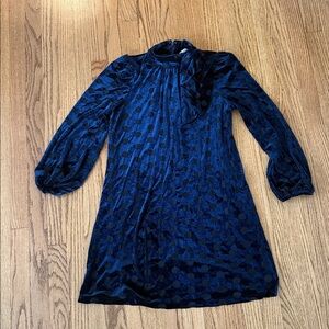 Calvin Klein Midnight Blue Velvet Dress